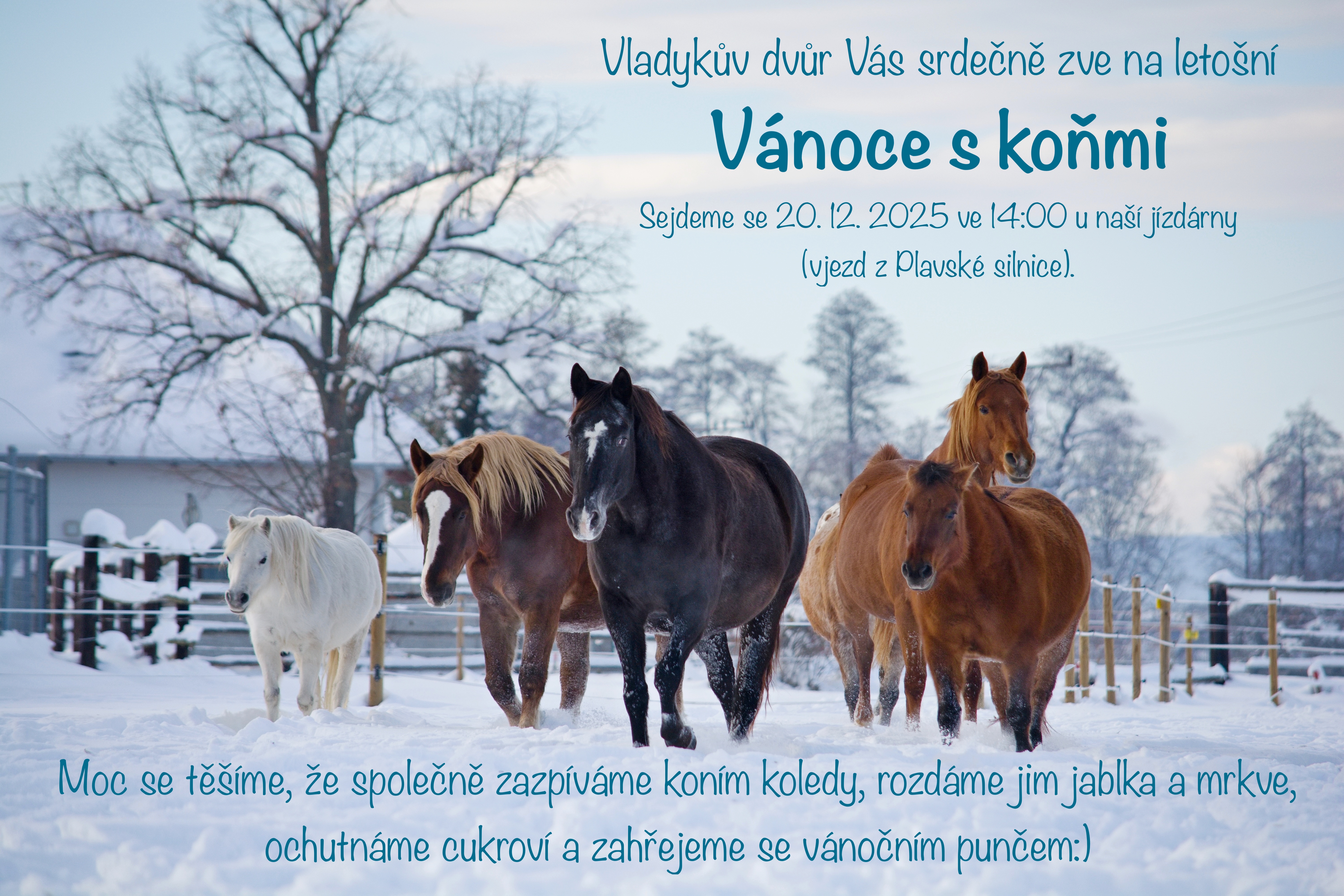 Vánoce s koňmi - Vladykův dvůr