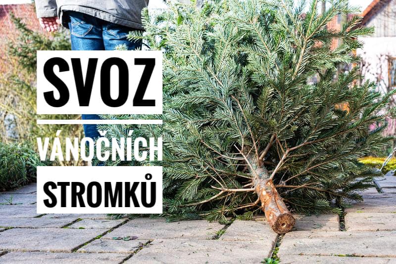 Svoz vánočních stromků