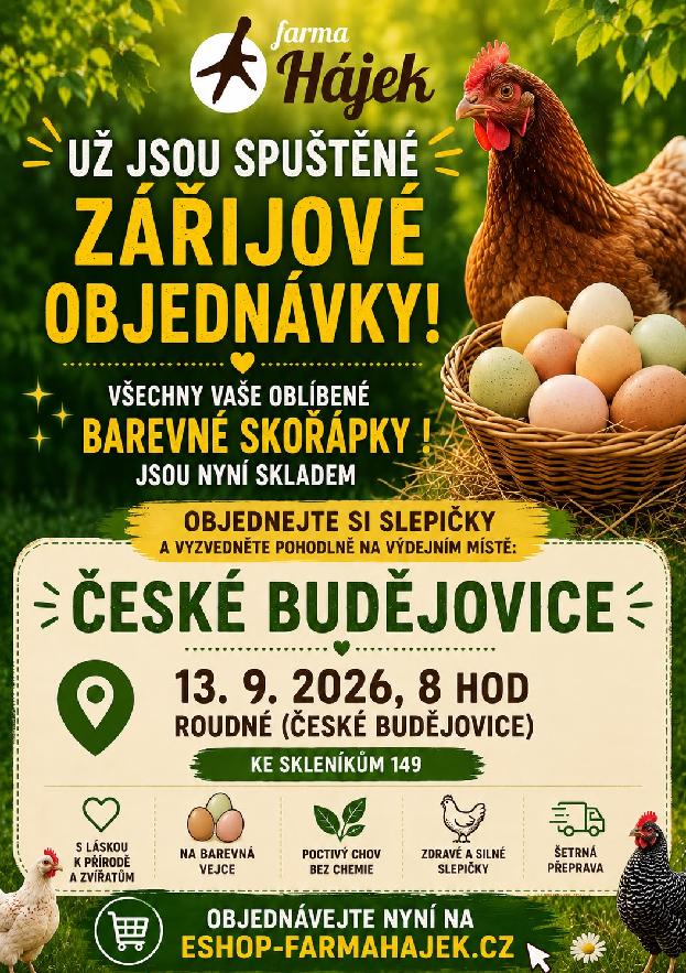 Prodej slepic dne 13.09.2026