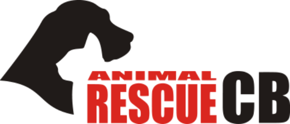 Útulek ANIMAL RESCUE - omezení příjmu koček do útulku