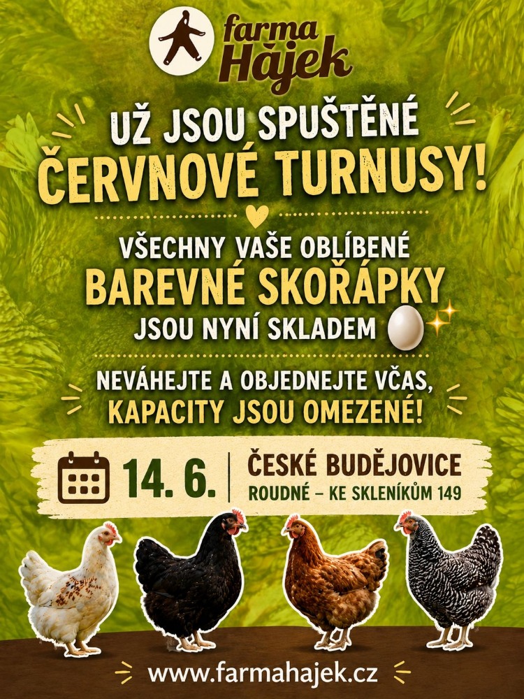 Prodej slepic dne 14.06.2026