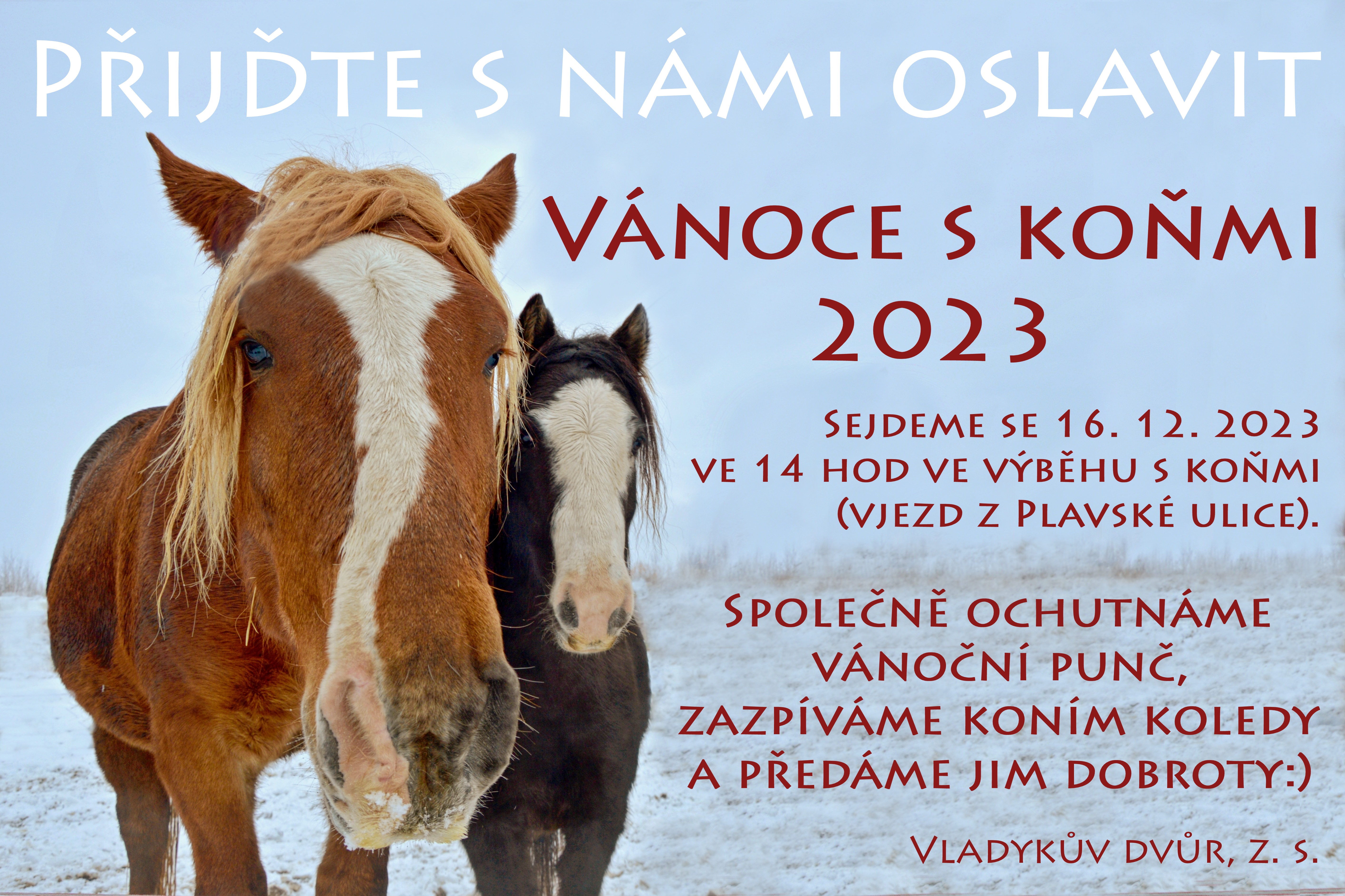 Pozvánka na Vánoce s koňmi